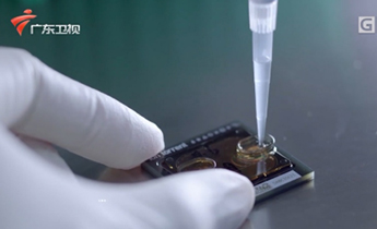 BC贷·(中国区)官方网站