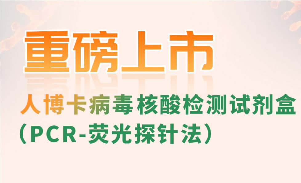 BC贷·(中国区)官方网站